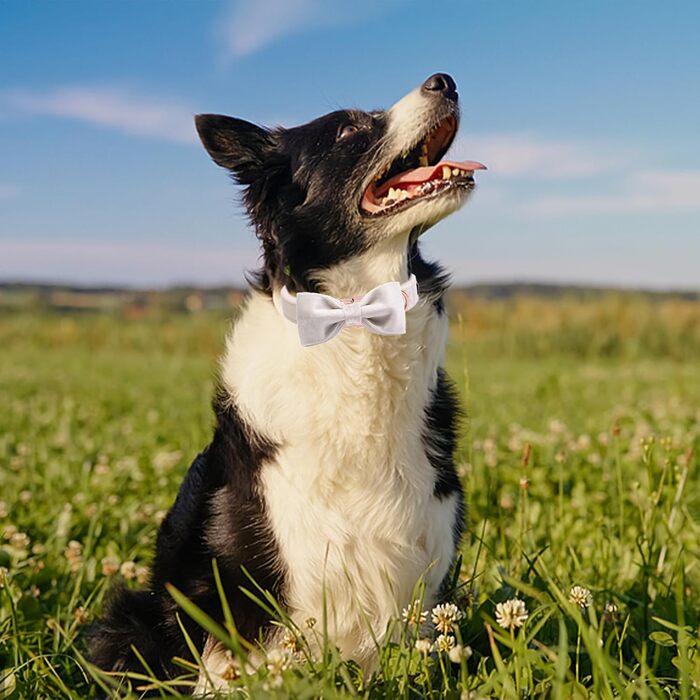 Елегантний ошийник для собак Aring з краваткою, велюровий, регульований, м'який, білий. Подарунок для дівчаток та хлопчиків
