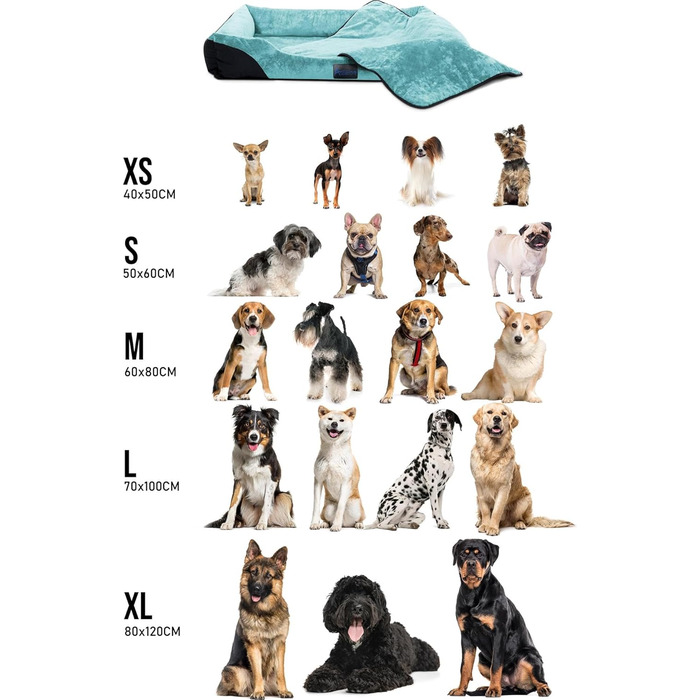 Корзина для собак Normani з ковдрою - лежанка для тварин, блакитна, 60x80 см