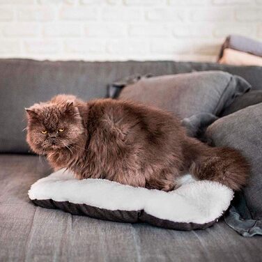 Ліжко для котів та собак Ferplast, з бавовняним вкладишем, 55 x 36 см, коричневе, Baumwolle L 200 x B 48 x H 3 см