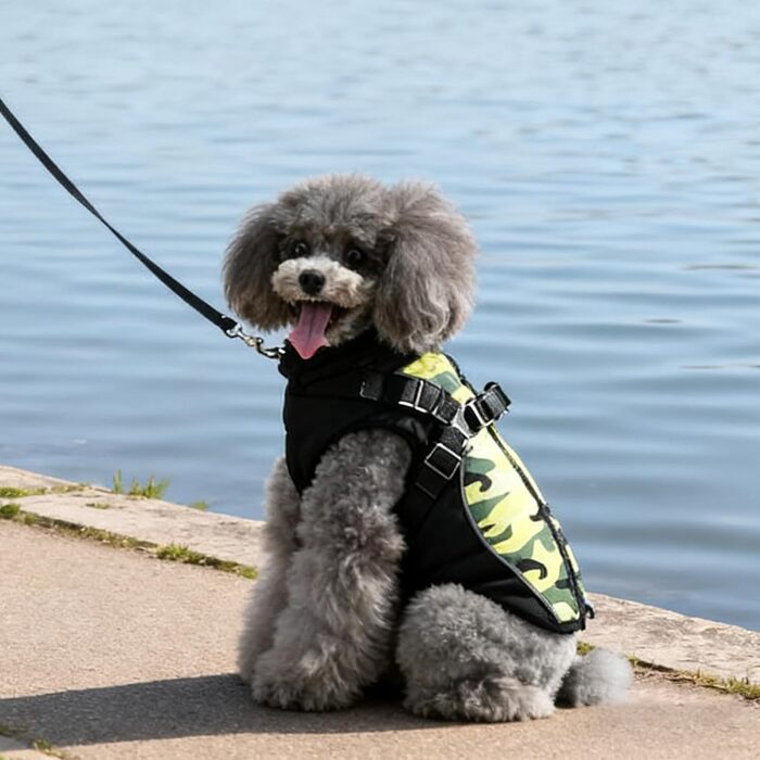 Водонепроникний собачий нашийник для зими: малі, середні та великі породи