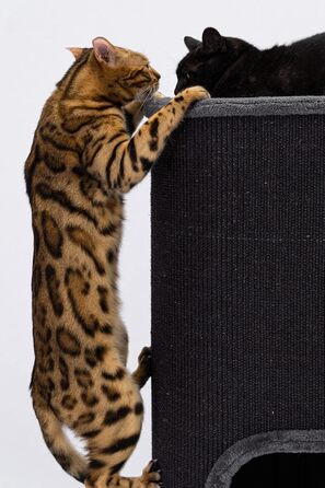 Petrebels Дряпка для котів - дряпка-домик, 110 см, чорна