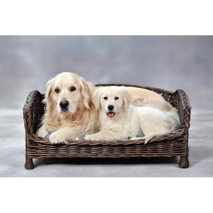 Корзина для собак та котів з плетіння лози з м'яким лежаком, коричнева (74x52x39 см)