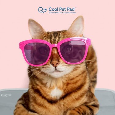 Охолоджувальний килимок для собак та котів TheGreenPetShop XL, самоактивуючий гель-мат для великих домашніх тварин (до 36 кг), шавлія/сірий