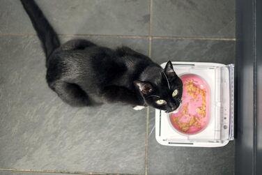 Sure Petcare SureFeed годівниця для котів та маленьких собак, автоматична, герметична, біла