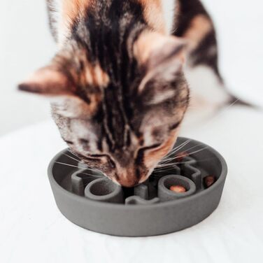 District 70 Повільний годівник для котів з бамбуку, сірий, діаметр 13,5 см