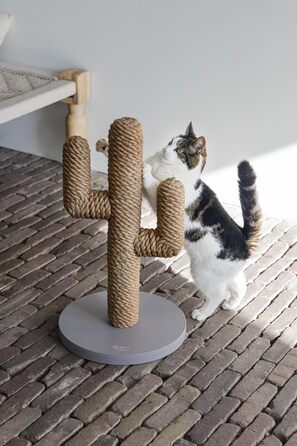 Сучасний кактус Lotte Kratzbaum: стильний декор для дому, 60 см, бежевий