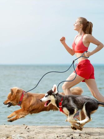 Подвійний повідок для собак Petbaba 1,9 м, не заплутується, міцний, з м'якою ручкою, для вигулу двох великих собак, з відбивачем