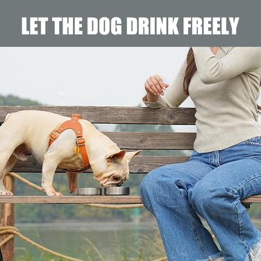 Турбунок для собак на ходу 950 мл – ізольована сталева фляга для води з мискою для їжі та води, портативна фляга для собак без BPA для подорожей, прогулянок та активного відпочинку (Сірий, L)